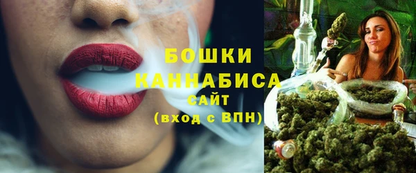 гашик Бежецк