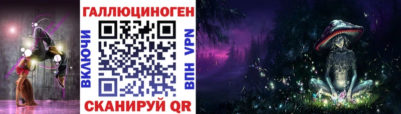 как найти закладки  Новомичуринск  Галлюциногенные грибы Cubensis 